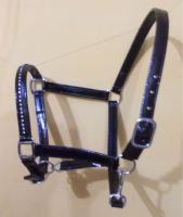 PVC HORSE HALTER