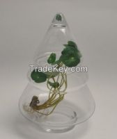 Unique Handmade Christmas Tree Shaped Glass Storage Jar For Food Candy