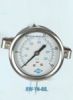 aseismatic pressure gauge