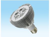 led spotlight PAR30-2W5