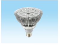 led spotlight PAR38-2W12