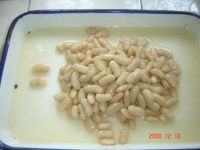 Chinese white beans