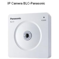IP cameras