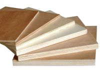 Plain Plywood