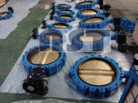 lug type butterfly valve