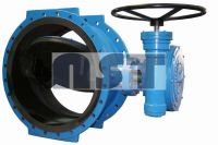 RUBBER LINED BUTTERFLY VALVE