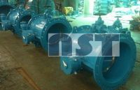 butterfly valve with by pass