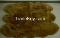 sexto sheepskin rug