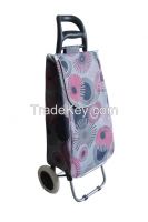 Trolley bag