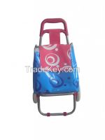 Shopping trolley bag