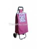 Trolley bag