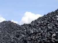 Indonesian Coal, ...