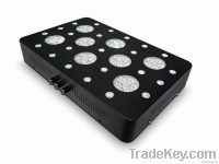 https://jp.tradekey.com/product_view/2013-Newest-Dimmable-300w-Led-Grow-Lights-Lamp-Panel-With-Single-5w-620457.html