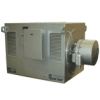 Asynchronous Electric  Motor