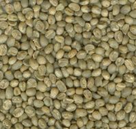 https://www.tradekey.com/product_view/Arabica-Coffee-Beans-Of-Chinese-Origin-509540.html