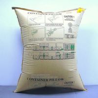 paper container pillow bags, dunnage bag, container damage bags