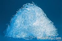 Glass fiber