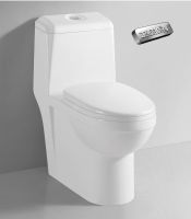 Dual Flush One Piece Eco-Friendly High Efficiency Siphon Jet Flushing Ceramic Toilet- TA8160