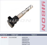 ignition coil YB-A219