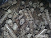 Wood Pellet