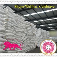 HIGH QUALITY SODIUM BICARNBONATE(food grade)