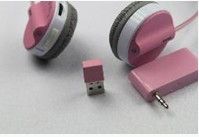 2.4G wireless earphone mold