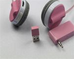 Plastic Earphone Mold