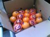 exporting orange