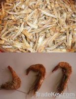 Dried Fish - Anchovy