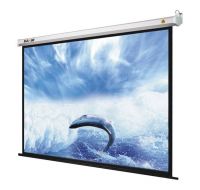 electronic projection screen