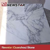 Newstar snow white marble