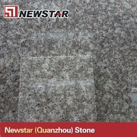 Newstar polished G664 granite tile