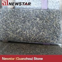 Newstar polished leopard skin granite tile