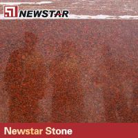 Ruby red indian granite slab price