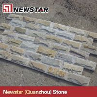 Newstar mushroom slate wall tile