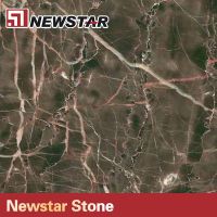 Newstar stone china marble factory