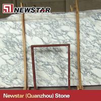 italian white arabescato corchia marble slabs