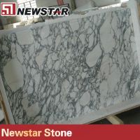 white arabescato corchia marble tile