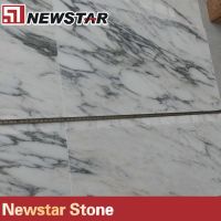 popular arabescato corchia marble wall tile