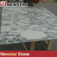 arabescato corchia white marble floor tile