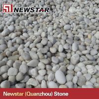 Newstar white pebble stone sales