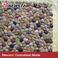 Newstar pebble tile pebbles pebble stone