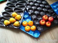 PP Tray for Fruit