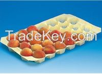 China Supply FDA/SGS Food Grade Custom Made Fruit Tray Liners