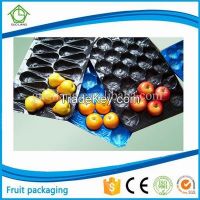 Vacuum Formed Blister Packaging 29X39cm 29x49cm 39x59cm Plastic Fruit Tray