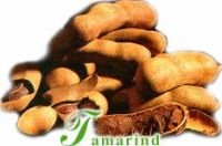 Tamarind Fruit