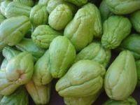 https://fr.tradekey.com/product_view/Chayote-guayaba-526369.html