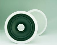 In wall/ceiling speaker