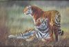 Land Animal Oil Painting