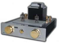 Hybrid Amplifier